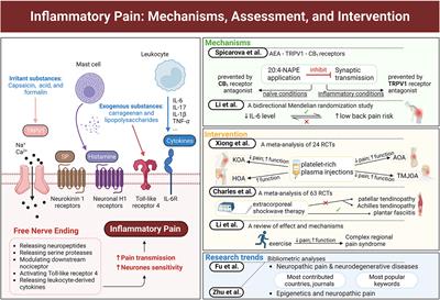 Editorial: Inflammatory pain: mechanisms, assessment, and intervention